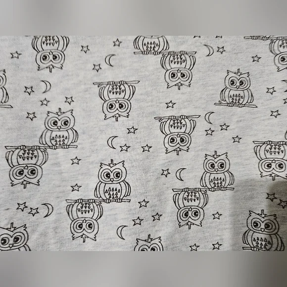 Owl Sweatshirt Oversized Small - Picture 2 of 4